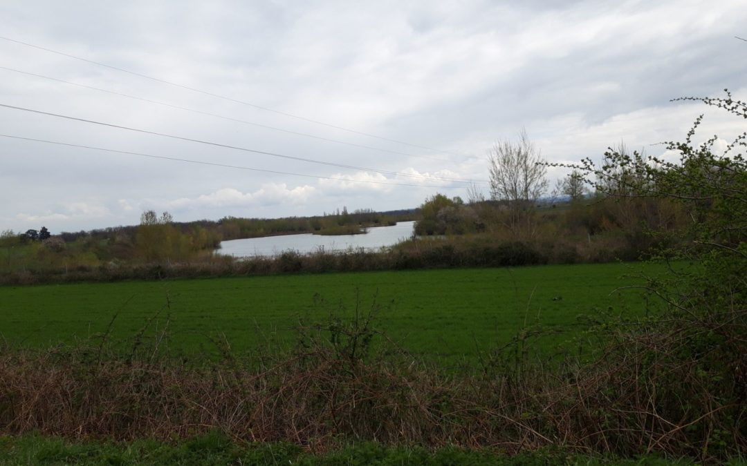 SORTIE VTTAE DU 08 AVRIL 2023 : Les Etangs de Cernay (39 km)