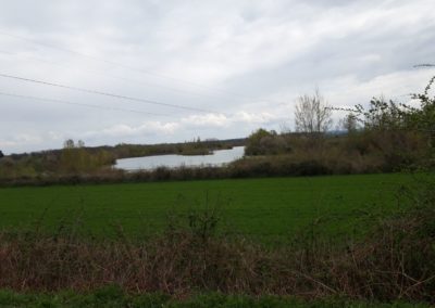 SORTIE VTTAE DU 08 AVRIL 2023 : Les Etangs de Cernay (39 km)