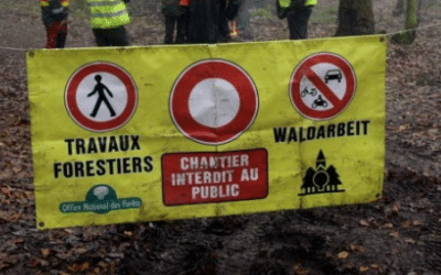 Travaux forestiers ban communal de Fellering
