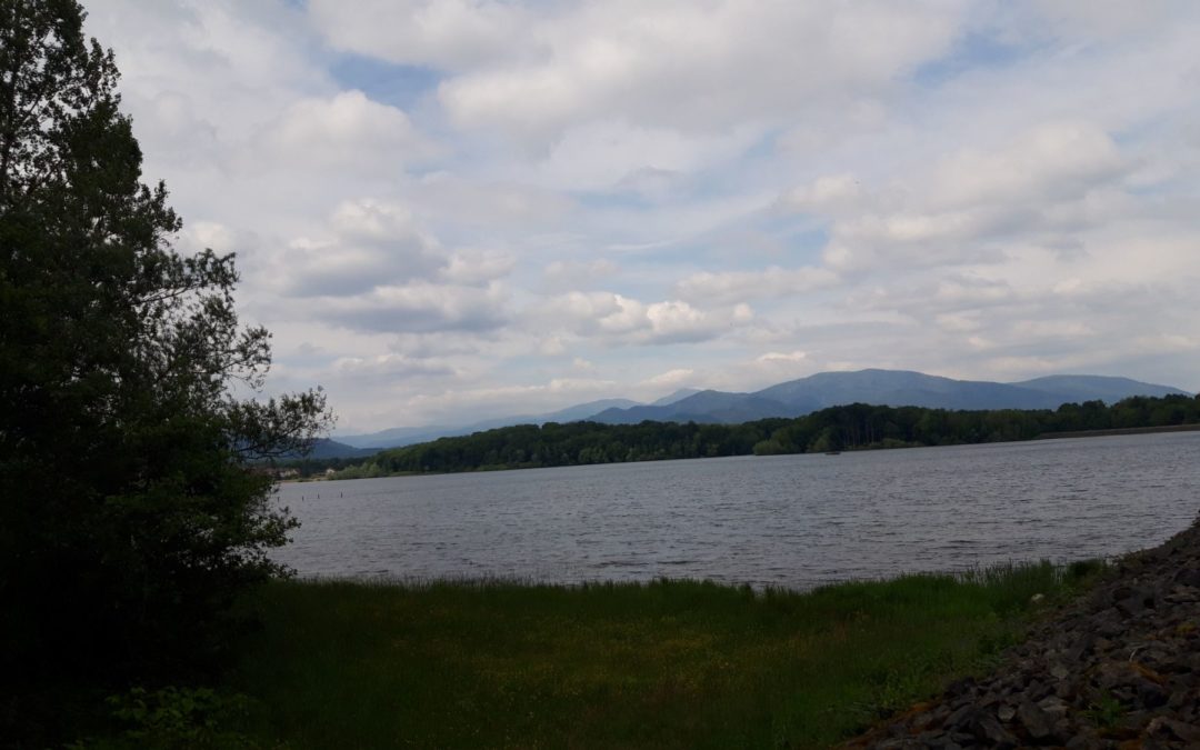 SORTIE VTTAE DU 20 MAI 2023 : Le Barrage de Michelbach (36km)