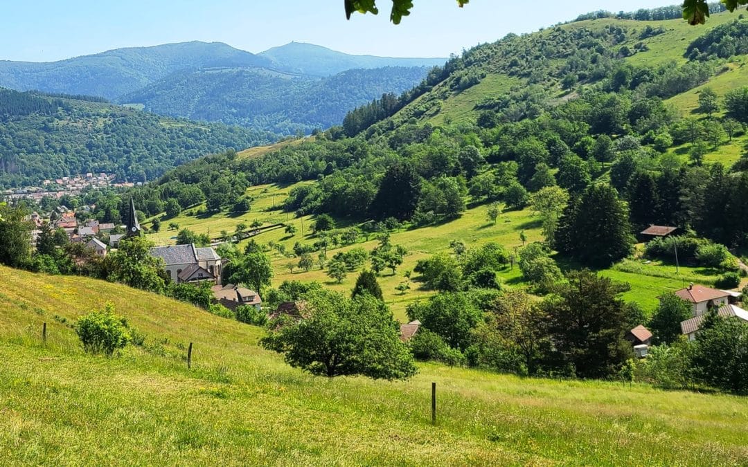 Sortie Séniors et Grand Séniors, sentier des poètes du 01 06 2023