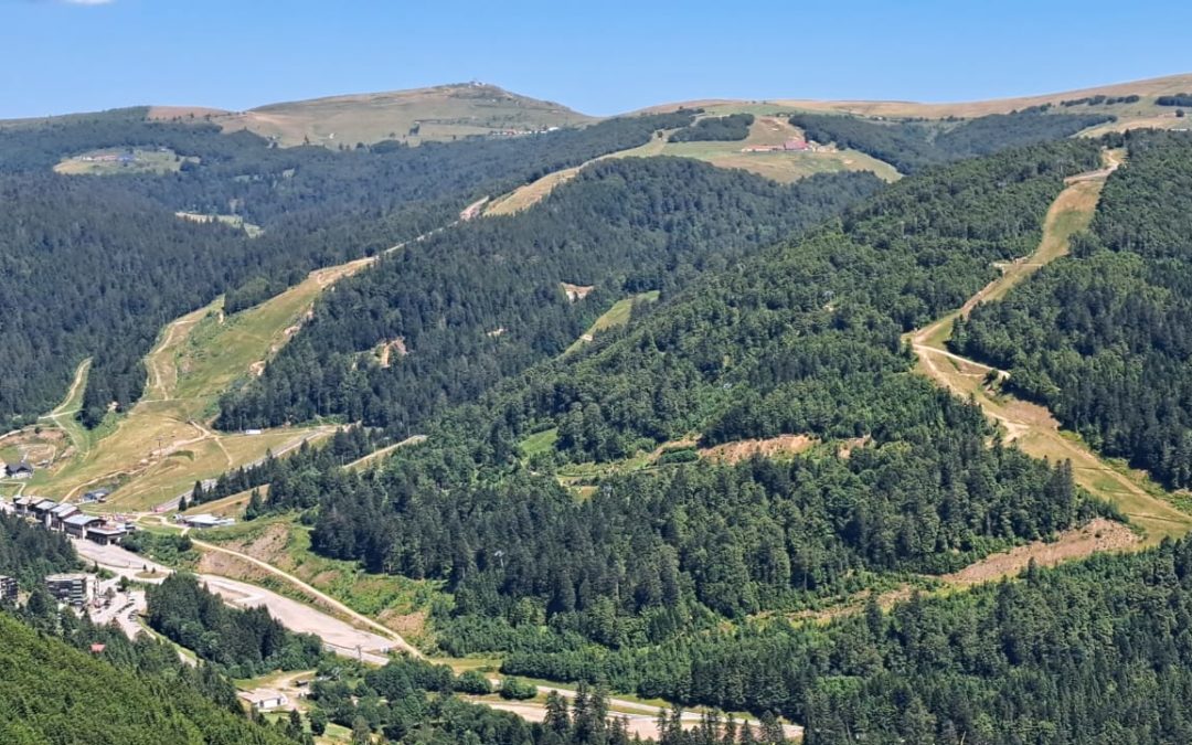 SORTIE VTT/VTTAE du 11 Juillet : Le pré Jacquot La Bresse  (28km)