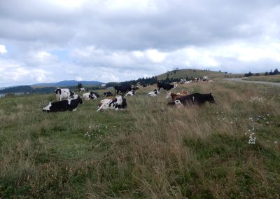 Marche d’orientation de Auxelles le Haut le 7 aout 2024