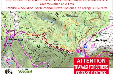 Travaux-forestiers-entre le Gommruecken et le Treh à Oderen