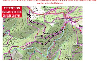 Travaux-forestiers-Bessayfels au dessus de Geishouse