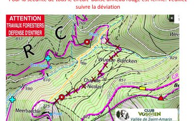 Travaux-forestiers-chapelle-St-Nicolas-St-Amarin