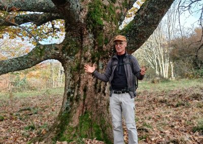 Sortie nature : Forêt naturelle ou forêt artificielle Belacker