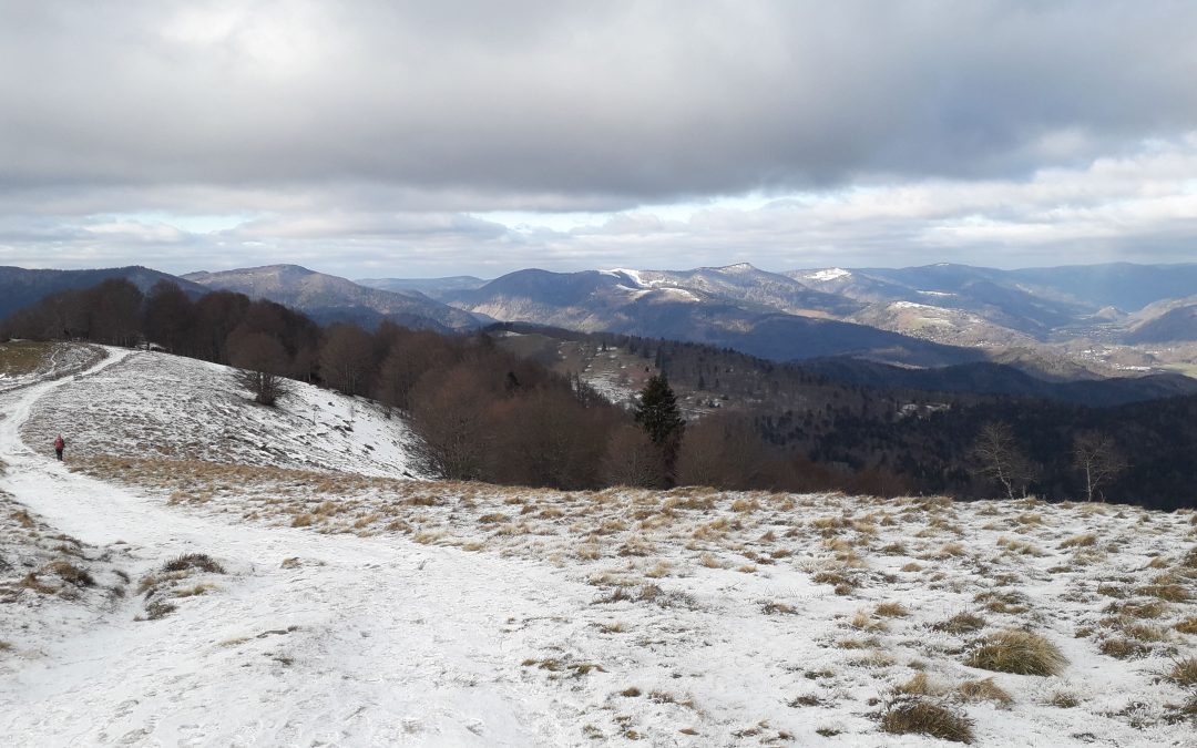 Randonnée hivernale Moosch / Rossberg du 12 janvier 2025