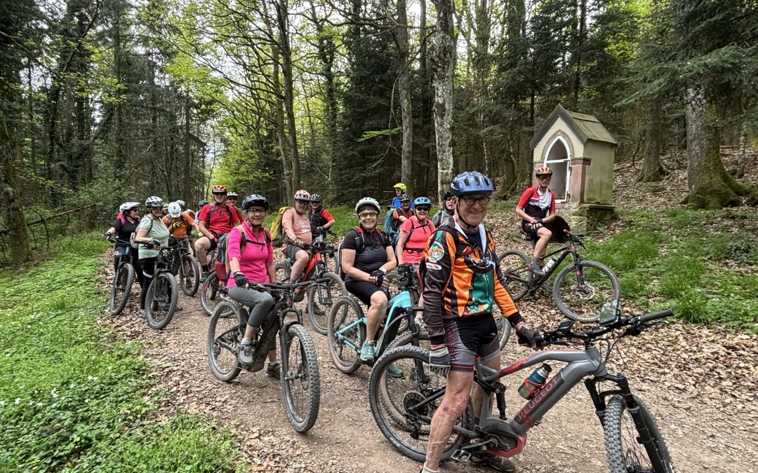 SORTIE VTTAE du 12 avril 2024 :  Le Piémont Alsacien (41km)