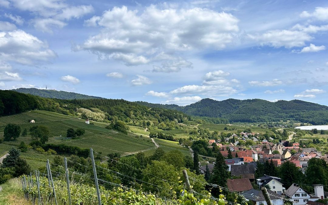 SORTIE VTTAE du 24 mai 2025 : Le Blauen – Allemagne (40 km)