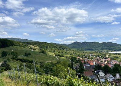 SORTIE VTTAE du 24 mai 2025 : Le Blauen – Allemagne (40 km)
