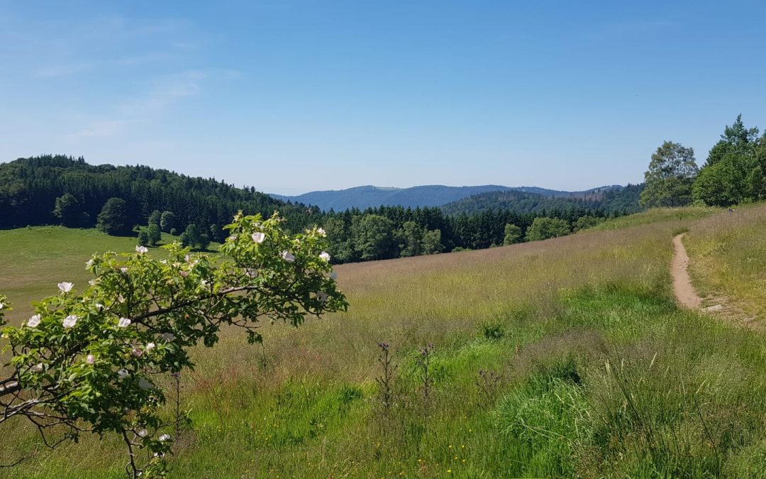 SORTIE SPORTIVE DU DIMANCHE 22 JUIN 2025