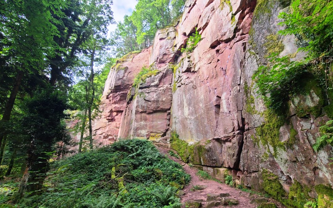 Sortie Séniors : Bergholtz Guebwiller