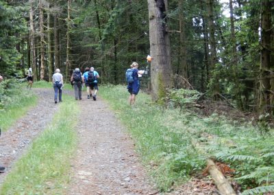 Marche d’orientations de Giromagny le 1 juin 2025