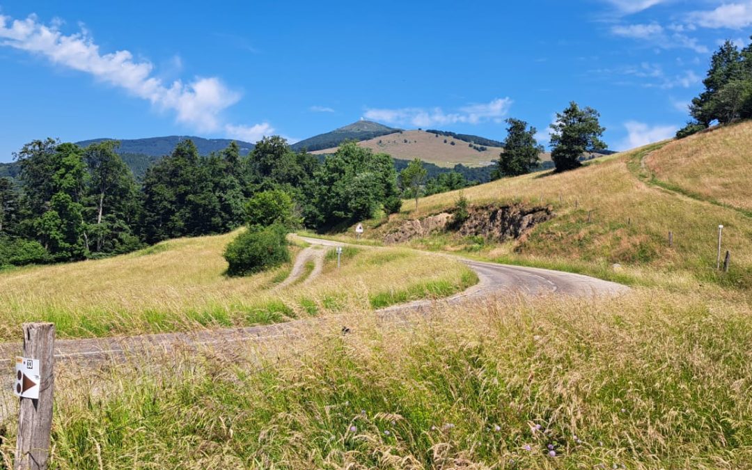 Sortie VTTAE du 21 juin 2025