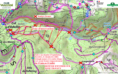 Travaux forestiers Chemin des Alliées
