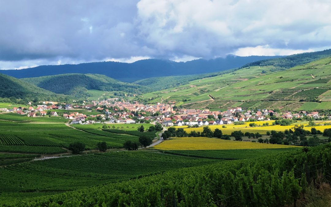 Sortie SENIOR le Jeudi 24 Juillet 2025