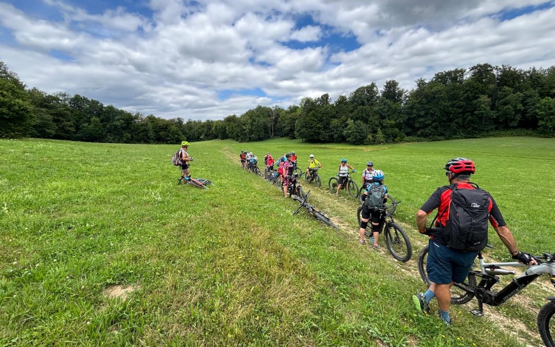 SORTIE VTTAE du 23 juillet 2025 : Le Jura Alsacien  Ferrette (41 km – dén. 862m)