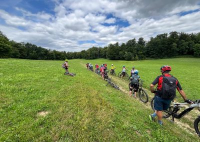 SORTIE VTTAE du 23 juillet 2025 : Le Jura Alsacien  Ferrette (41 km – dén. 862m)
