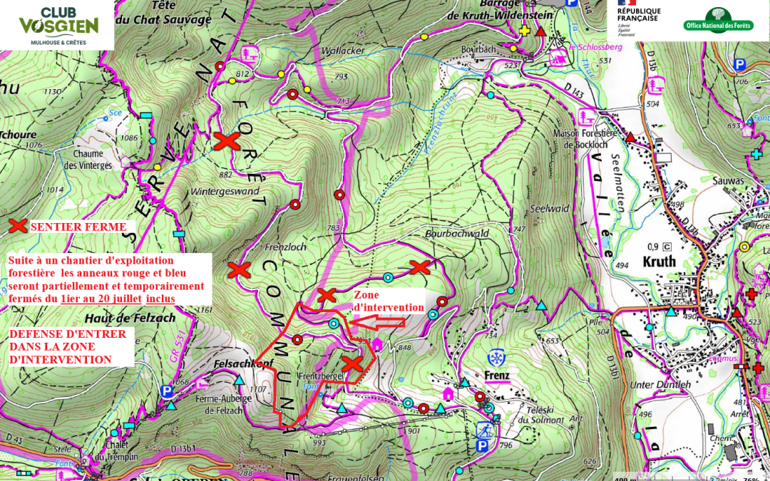 Exploitation forestière sur la zone du Frenzloch