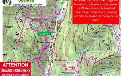 Travaux forestiers Wildenstein_Neufeld