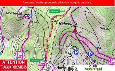 Travaux forestiers Geishouse_Hoehe