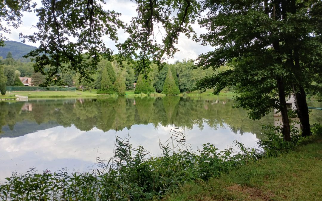 SORTIE VTTAE du 23 Août 2025 : Le Sattel- Vallée de Masevaux