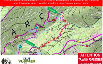 Travaux forestiers Saint-Amarin_Meerbaechle