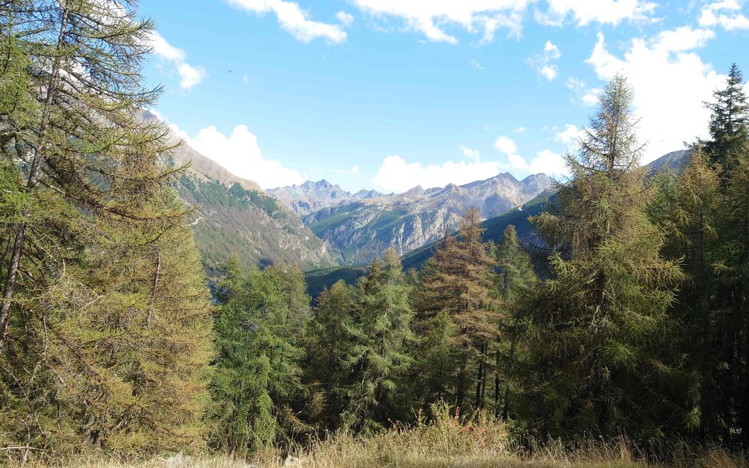 Séjour Val d’Aoste 2025