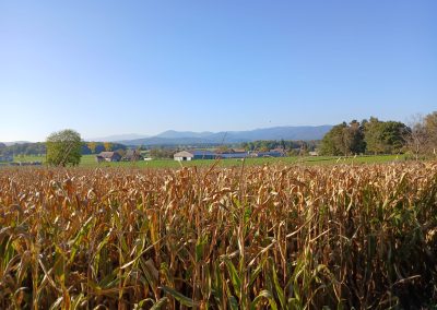 SORTIE VTTAE du 11 octobre 2025 : Aux portes du Sundgau Alsacien