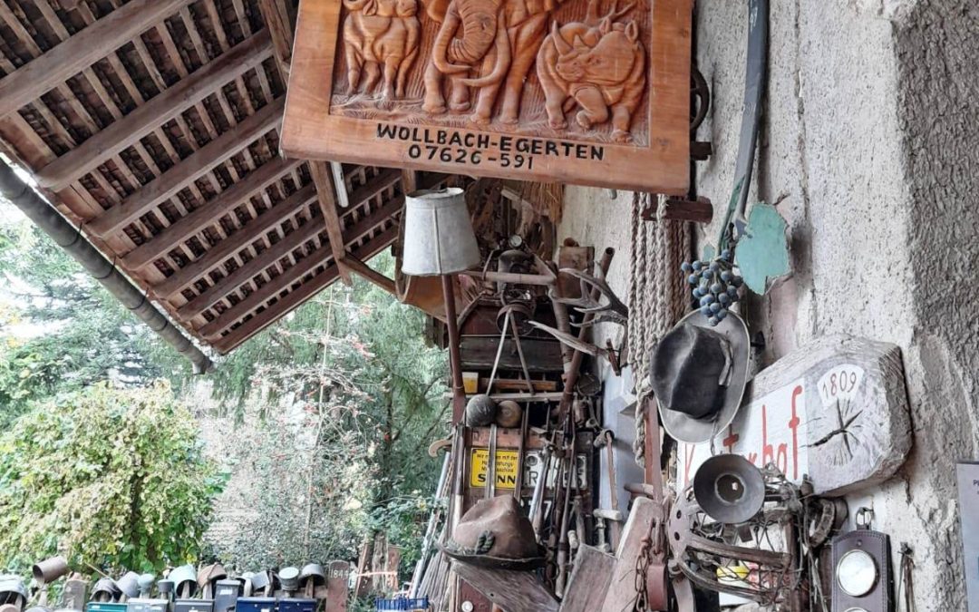 Sortie SENIOR CVSA le Jeudi 25 Septembre 2025