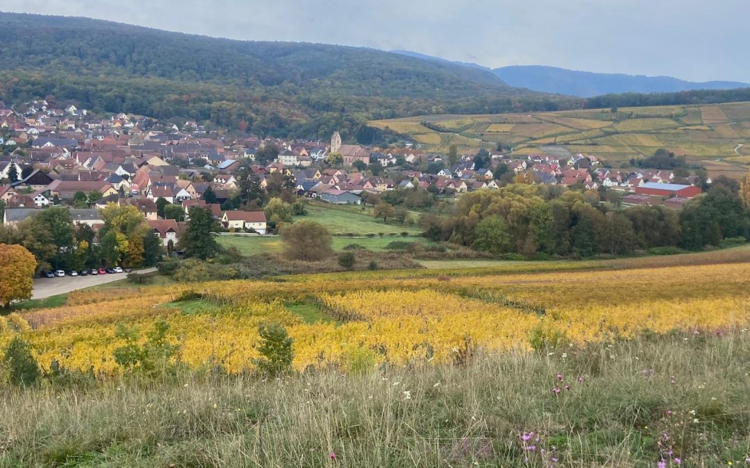 Randonnée Notre Dame du Schauenberg du dimanche 19 Octobre 2025