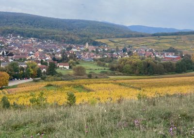Randonnée Notre Dame du Schauenberg du dimanche 19 Octobre 2025