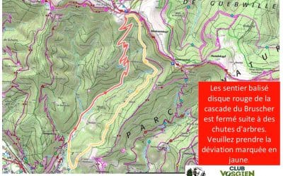 Déviation chutes d’arbres