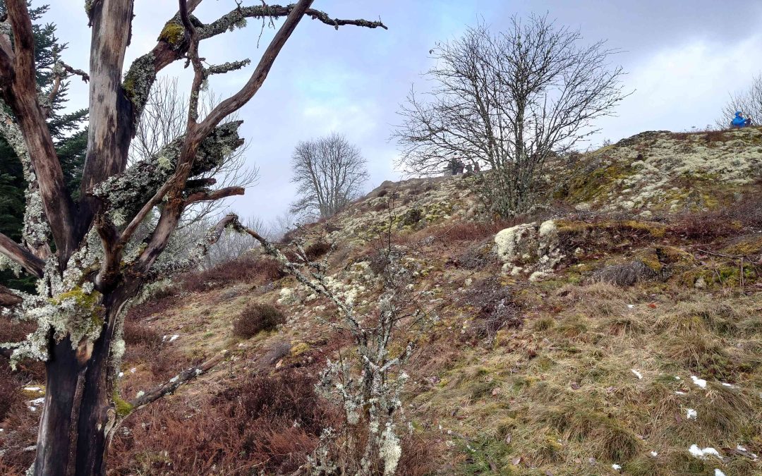 Repas de la chandeleur