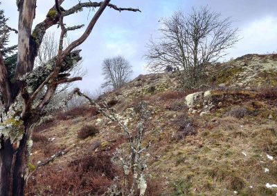 Repas de la chandeleur