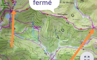 Alerte travaux Mollau