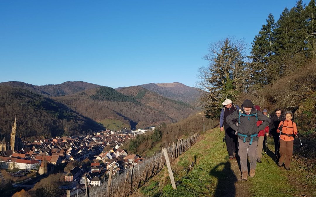 RANDONNEE SPORTIVE DU DIMANCHE 1er MARS 2026