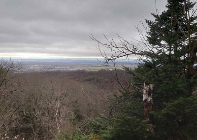 SORTIE HIVERNALE DU DIMANCHE 22 MARS 2026