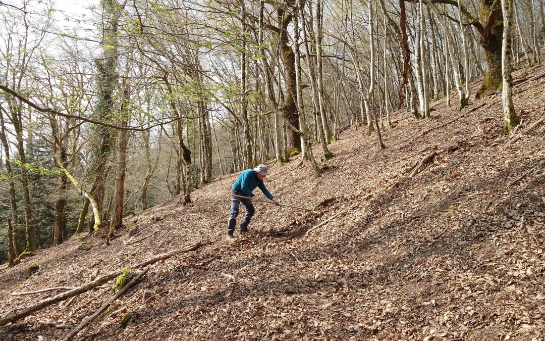 Journée de travail du samedi 21 mars sur le sentier Chaillot à Ranspach