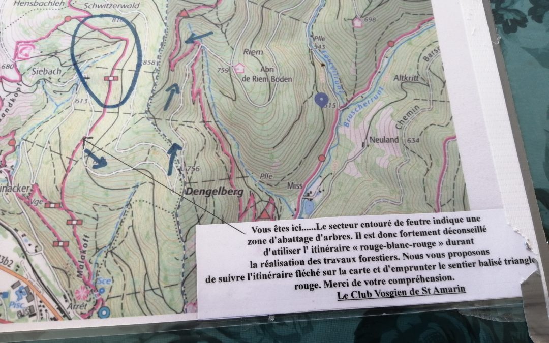 Alerte travaux forestiers Fellering