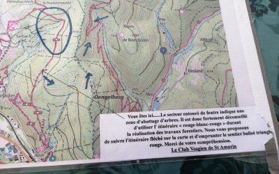 Alerte travaux forestiers Fellering