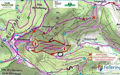 Signalement travaux forestiers proximité Drumont