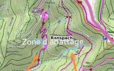 Travaux forestiers sur Ranspach