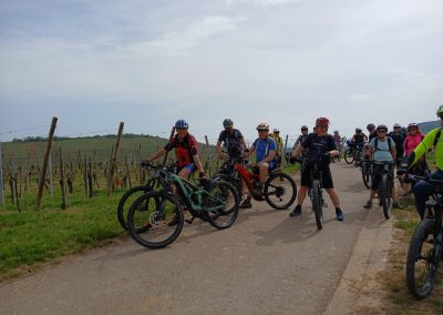 SORTIE VTTAE du 11 avril 2026 : BOLLWILLER – La Boucle en Plaine