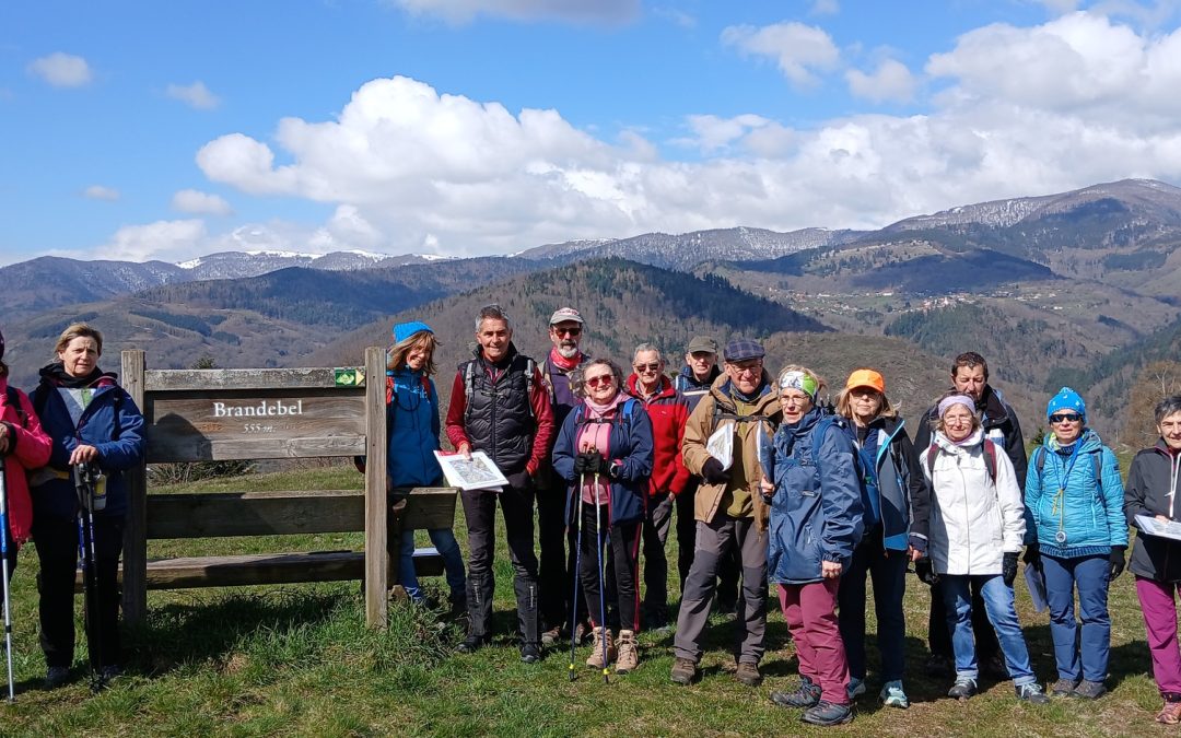 Marche Orientation 01 avril 2026