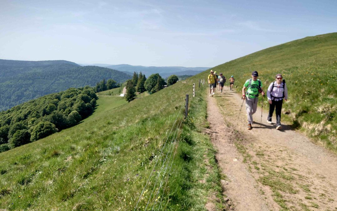 RANDONNEE SPORTIVE DU DIMANCHE 24 MAI 2026  A SAUTE-MOUTON DANS LA VALLEE DE LA THUR
