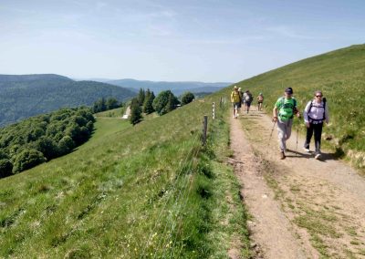 RANDONNEE SPORTIVE DU DIMANCHE 24 MAI 2026  A SAUTE-MOUTON DANS LA VALLEE DE LA THUR
