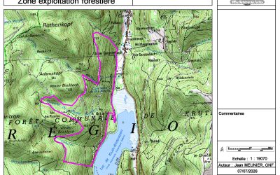 Travaux forestiers du Bockloch