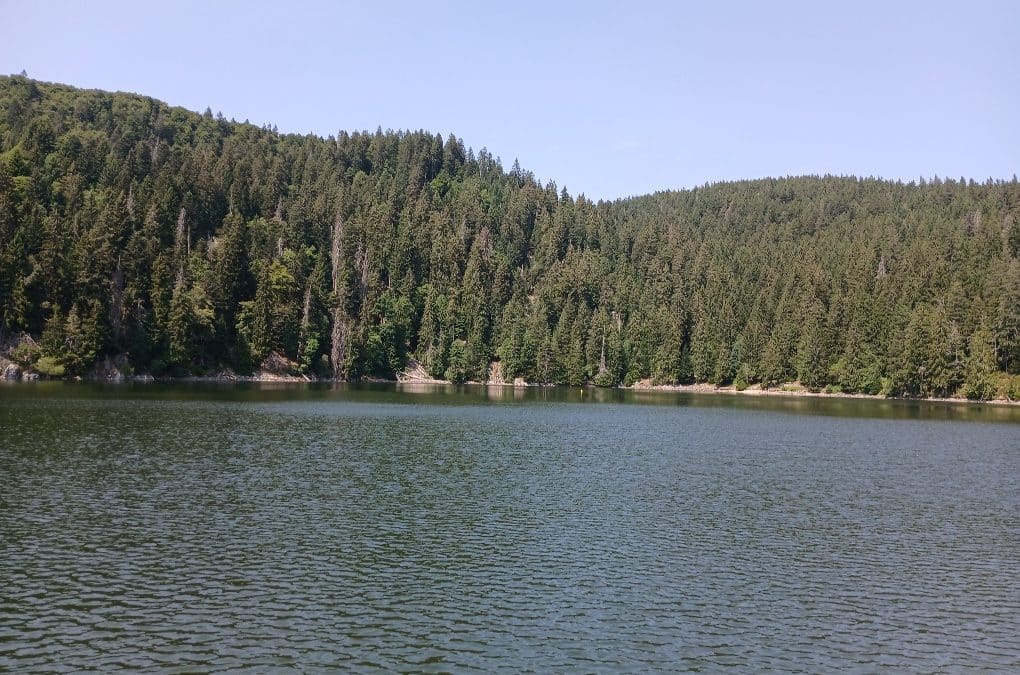 SORTIE VTTAE du  25 juillet 2026 :  – LE circuit des lacs